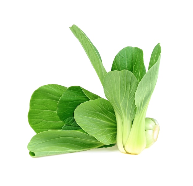 Bok choy (chinese kool) geïsoleerd op wit