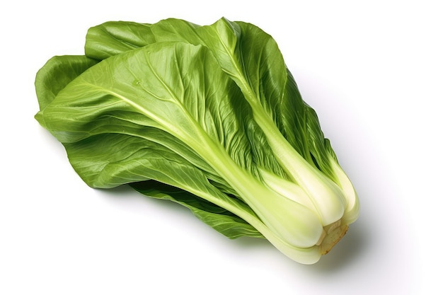 Bok choy foto realistische illustratie Generatieve AI Bok choy Chinese kool groen