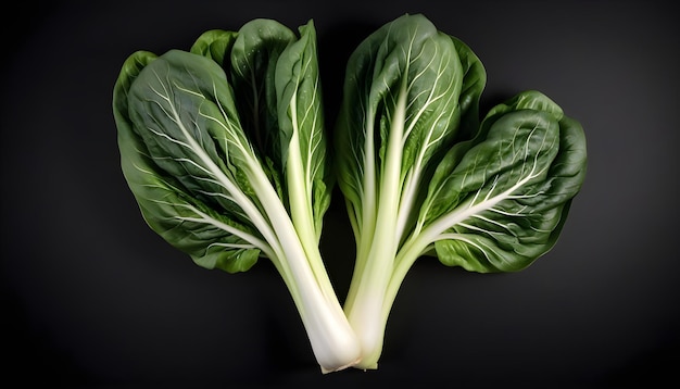 Bok choy on an isolated black background