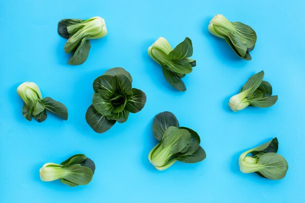 Bok choy op blauwe muur.