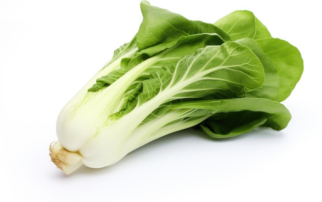 Bok Choy in Seclusion on White Background