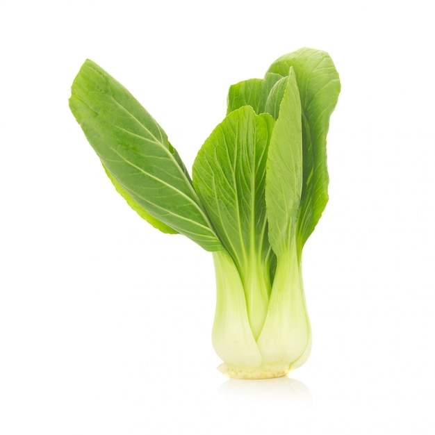 Bok choy vegetable isolated on the white background