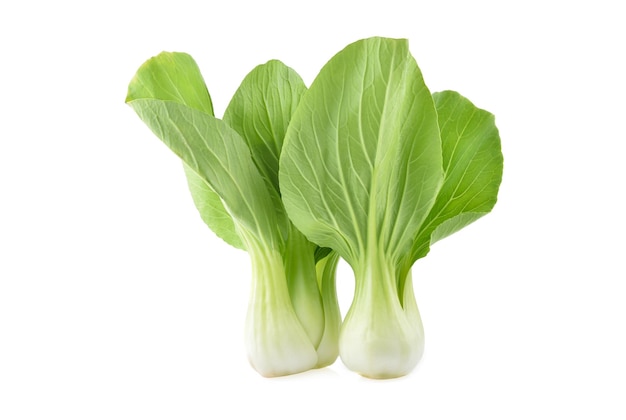 Bok choy vegetable isolated on white background