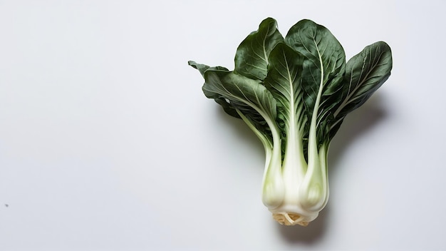 Bok choy vegetable isolated on the white background