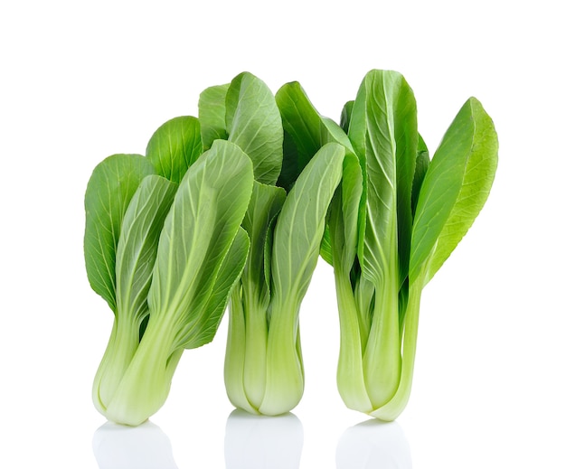 Bok choy vegetable isolated