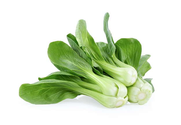 Фото bok choy овощ на белой стене.