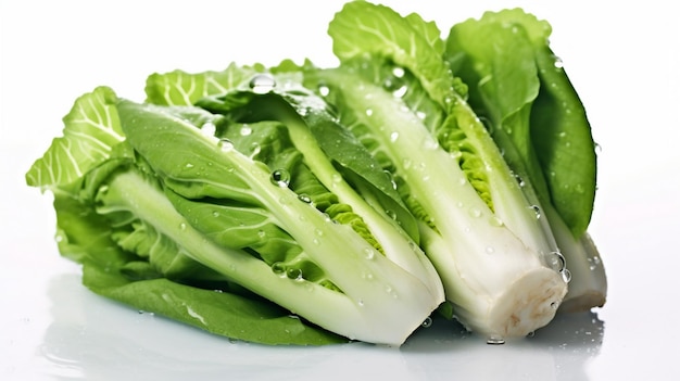 bok choy vegetable on white background