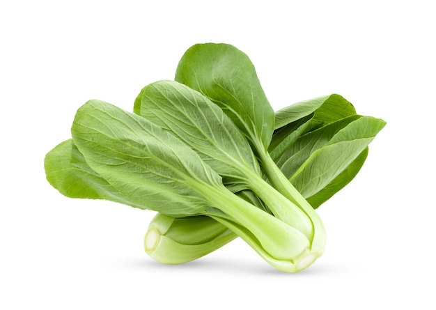 Bok choy vegetable on white background