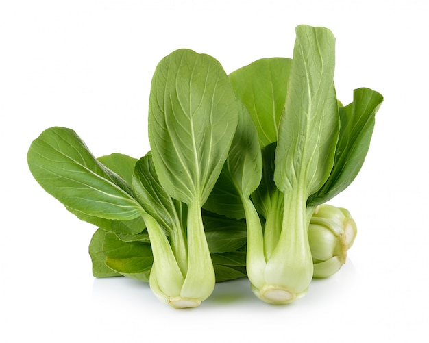 Bok choy vegetable on white background