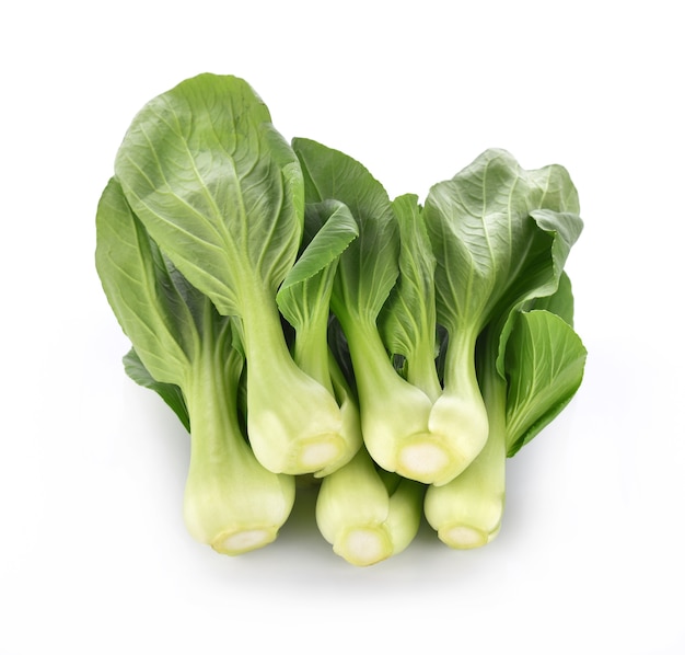 Bok choy vegetable on white background