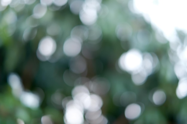 Bokeh abstract nature background Blurred focus