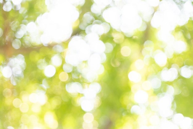 写真 ボケ味の背景ポスターバナー夏の背景のデザインツリーの葉のボケ味の要素