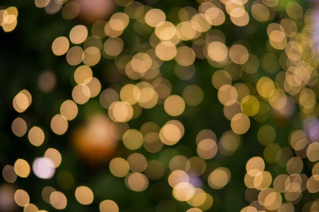 bokeh background, green leave blur background