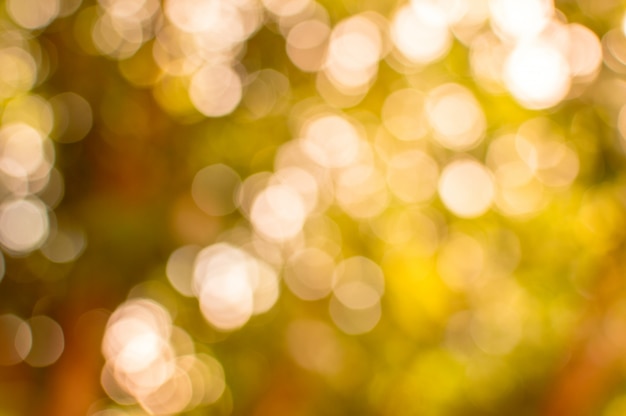 Photo bokeh background scene brightness of natural light forms a circle.