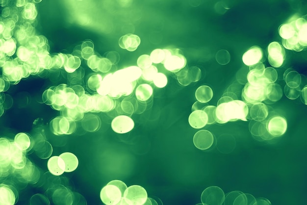 bokeh blurred background green grass leaves