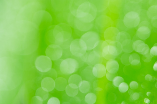 Bokeh circles green background