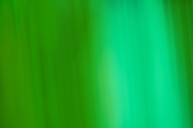 Photo bokeh green lights on texture blurred motion out of focus green background