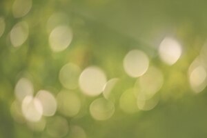 Bokeh green nature subtle background in abstract style for graphic design