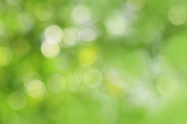 Bokeh green nature Subtle background in abstract style for graphic design