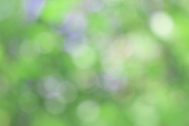 Bokeh green nature Subtle background in abstract style for graphic design