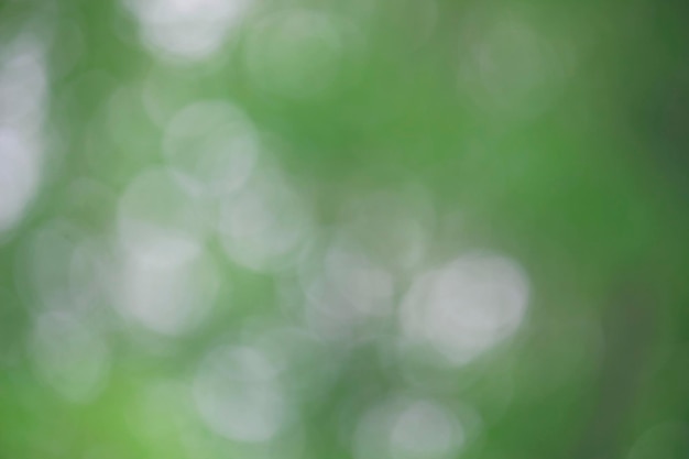 Bokeh green nature Subtle background in abstract style for graphic design