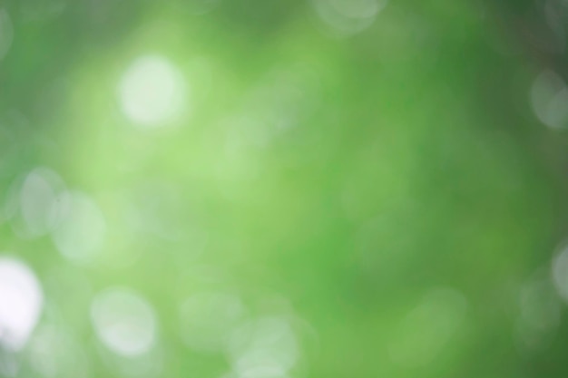 Bokeh green nature Subtle background in abstract style for graphic design