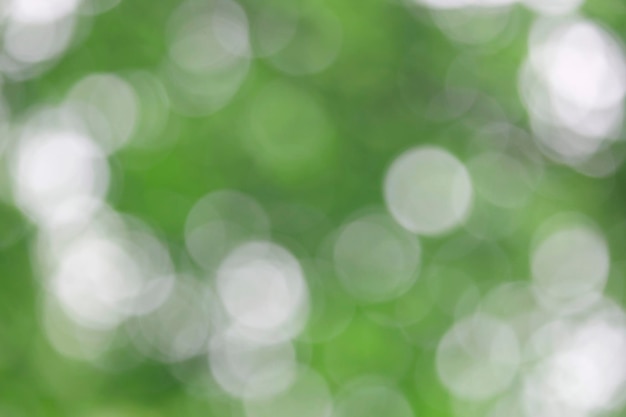 Bokeh green nature Subtle background in abstract style for graphic design