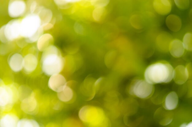 Bokeh verde