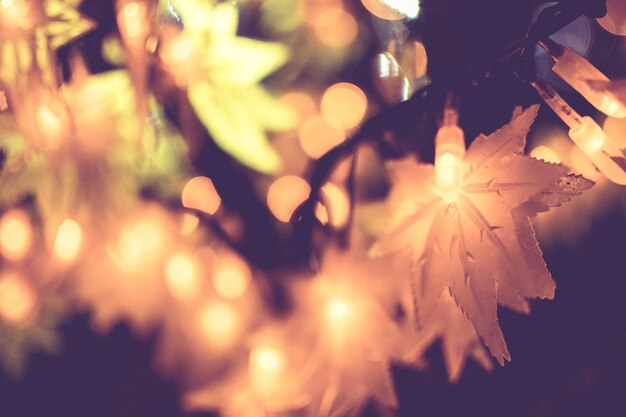 Bokeh light autumn vintage at night background