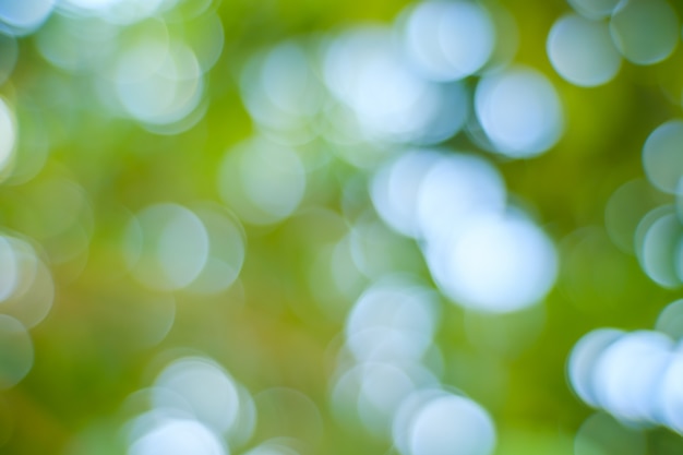 Bokeh of light nature,blured background,de focus.Sunlight shining through the leaves of trees.Abstract nature background, Nature green bokeh.