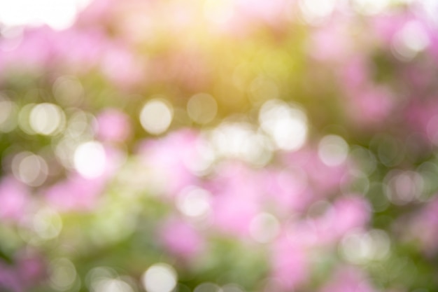 Bokeh 자연 녹색과 꽃