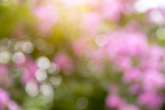 Photo bokeh nature green and flower