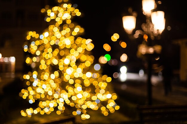 Bokeh silhouette of Christmas tree