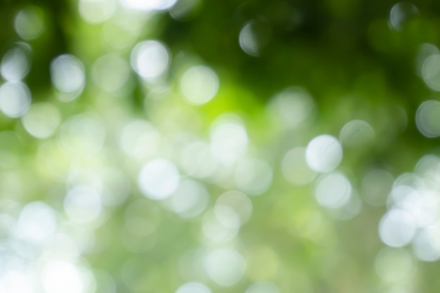 Bokeh vervaging boom natuur achtergrond met zonlicht op zomer lente seizoen