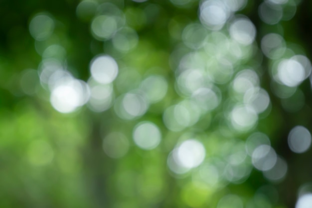 Bokeh vervaging boom natuur achtergrond met zonlicht op zomer lente seizoen