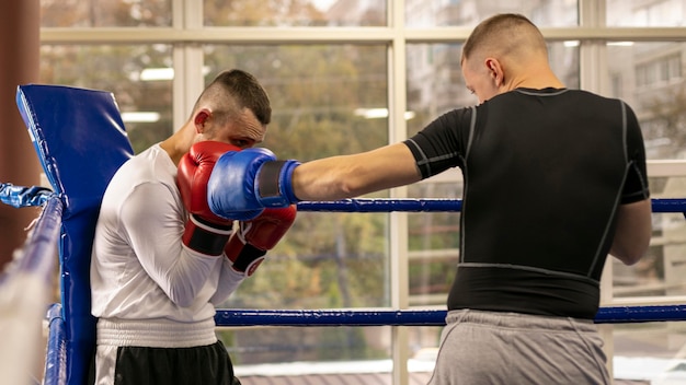 Foto bokser met handschoenen training met man