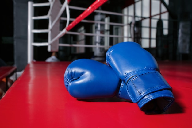 Bokshandschoenen aan de ring in de sportschool