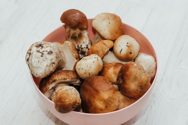 Boletus edulis in a bowl at home preparation for food consumption