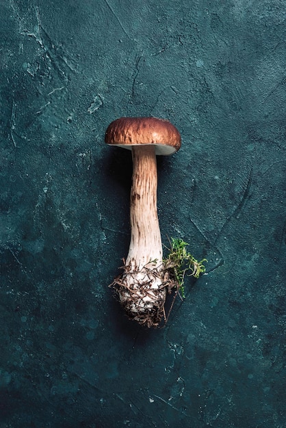 Photo boletus edulis mushroom on dark background copy space top view organic forest food edible fresh picked porcini mushroom autumn harvest concept cep mushroom picking