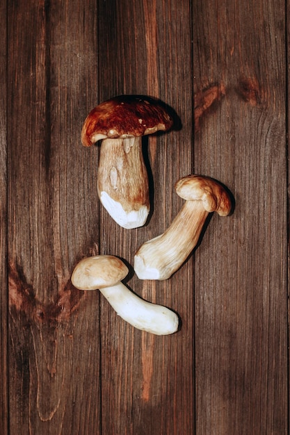 Boletus edulis on a table made of brown boards preparation for eating