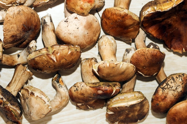 Boletus edulis on a table made of brown boards preparation for eating