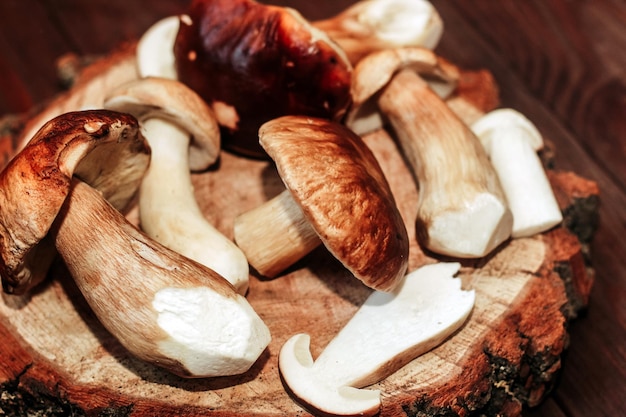 Boletus edulis on a table made of brown boards preparation for eating