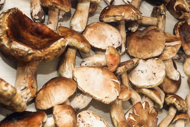 Boletus edulis on a table made of brown boards preparation for eating