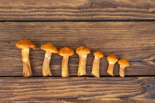 Boletus eetbare paddestoelen paddestoelen op een houten tafel Vegetarisch eten