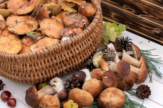 Merce nel carrello dei funghi porcini. stile rustico, luce naturale del giorno.