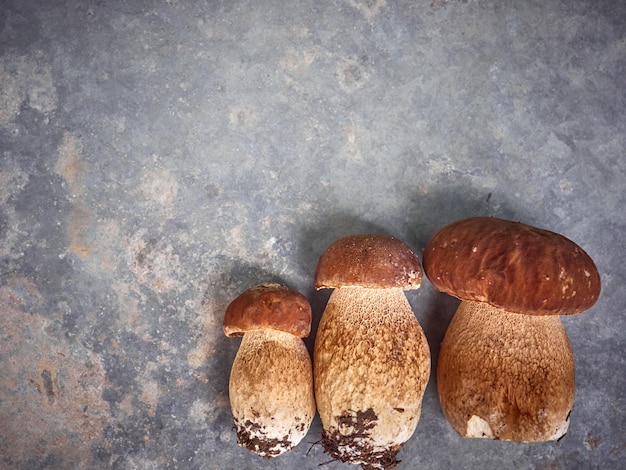 금속 배경에 boletus 버섯입니다.