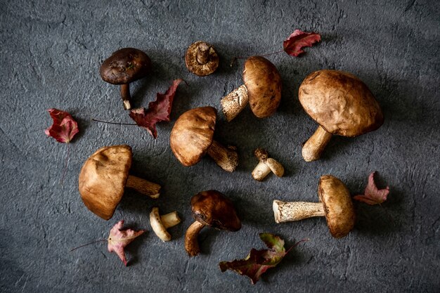 Boletus paddestoelen. Gezond en delicaat eten