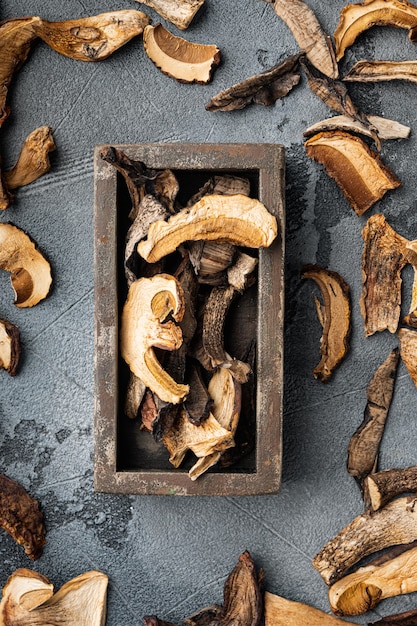 Boletus wild dried mushrooms set, on gray