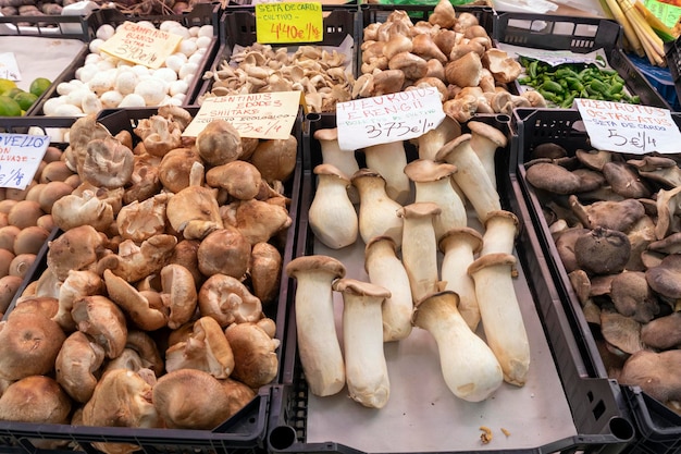 子子