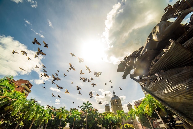 Bolivar-park in Pereira Risaralda met vliegende vogels en zon aan de heldere hemel